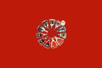 龙井回收红酒